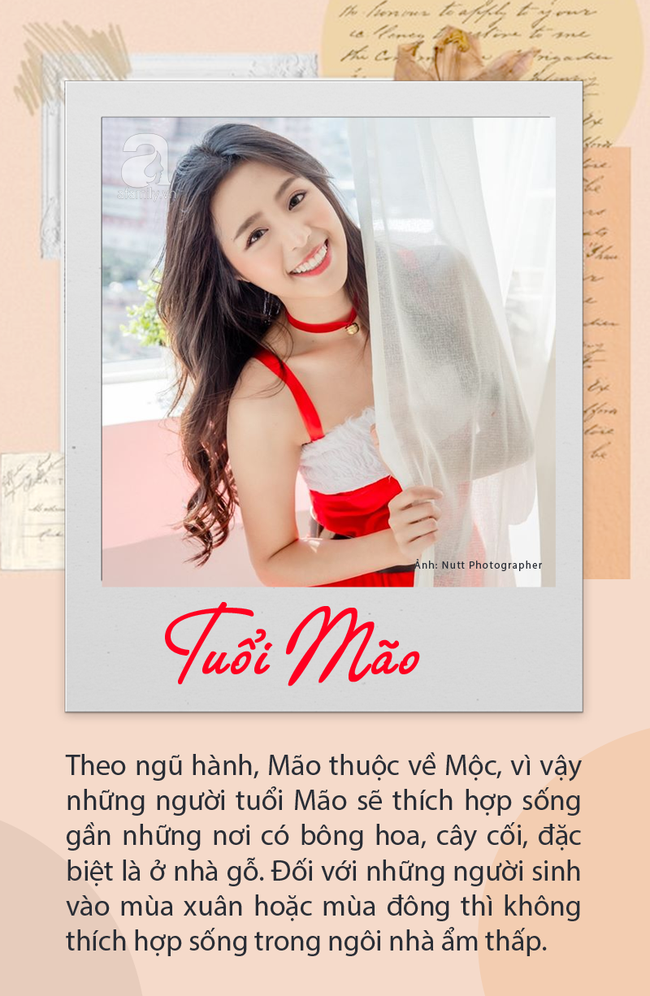 12 con gi&aacute;p n&ecirc;n ở trong ng&ocirc;i nh&agrave; n&agrave;o để thu h&uacute;t t&agrave;i vận - Ảnh 4.