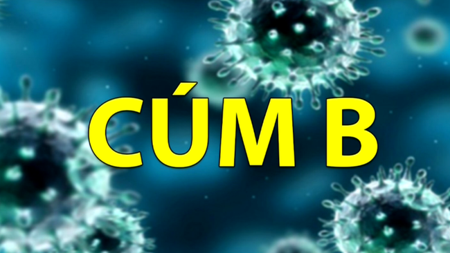 Cô bé 15 tuổi tử vong do sốc nhiễm khuẩn từ căn bệnh rất phổ biến vào mùa xuân - Ảnh 6. Cô bé 15 tuổi tử vong do sốc nhiễm khuẩn từ căn bệnh rất phổ biến vào mùa xuân - Ảnh 6.