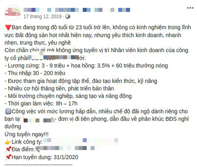 Biến căng cuối năm: Một công ty bất động sản nợ lương nhân viên, bị mấy anh phòng công nghệ thông tin phá website bêu riếu công khai - Ảnh 7.