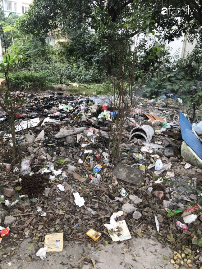 Hà Nội: Người dân khốn khổ vì rác, ruồi, muỗi bủa vây khắp phố phường ngày giáp Tết - Ảnh 11.