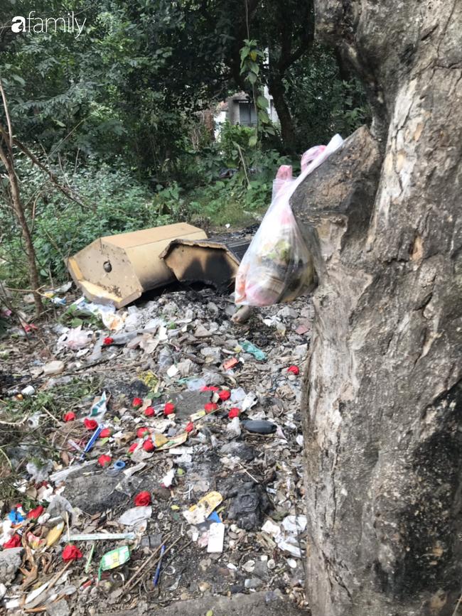 Hà Nội: Người dân khốn khổ vì rác, ruồi, muỗi bủa vây khắp phố phường ngày giáp Tết - Ảnh 8.