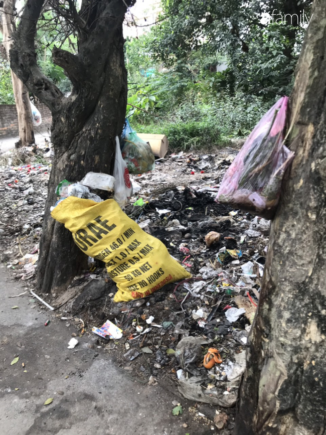Hà Nội: Người dân khốn khổ vì rác, ruồi, muỗi bủa vây khắp phố phường ngày giáp Tết - Ảnh 7.