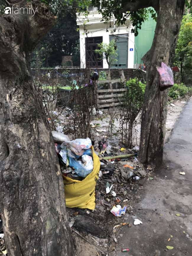 Hà Nội: Người dân khốn khổ vì rác, ruồi, muỗi bủa vây khắp phố phường ngày giáp Tết - Ảnh 5.