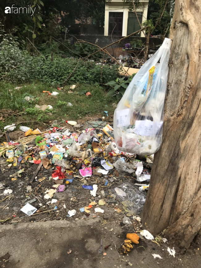Hà Nội: Người dân khốn khổ vì rác, ruồi, muỗi bủa vây khắp phố phường ngày giáp Tết - Ảnh 3.