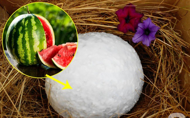 Mẹo hay ho giúp bảo quản trái cây mâm ngũ quả tươi lâu gấp 2, không cần dùng tủ lạnh - Ảnh 5.