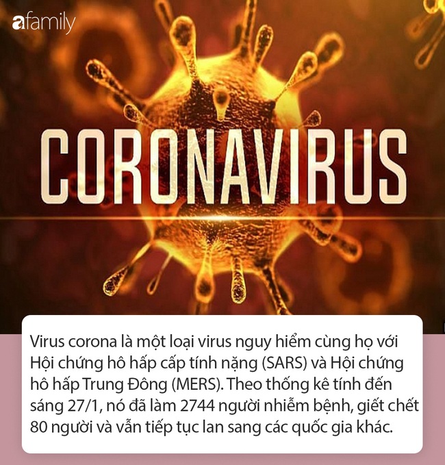 Tất tần tật thông tin nhanh về virus corona - &quot;cơn ác mộng&quot; làm xáo trộn Trung Quốc, khiến thế giới hoang mang từng ngày - Ảnh 1.