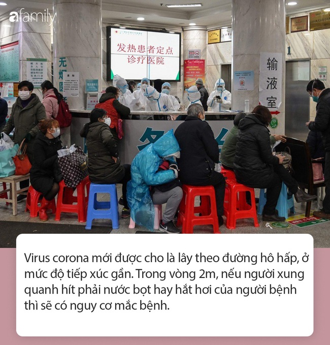 Tất tần tật thông tin nhanh về virus corona - &quot;cơn ác mộng&quot; làm xáo trộn Trung Quốc, khiến thế giới hoang mang từng ngày - Ảnh 5.