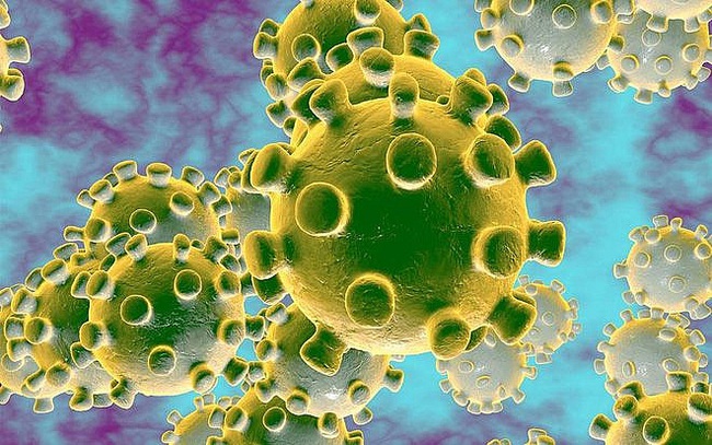 Coronavirus: NEJM tiết lộ cách thức lây truyền từ người sang người đầu tiên tại Việt Nam - Ảnh 3.