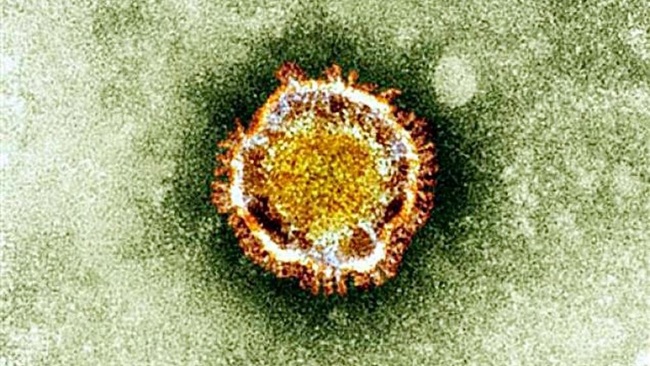 Coronavirus: Những chuyên gia hàng đầu sẽ đưa ra cách phòng ngừa, điều trị chuẩn xác - Ảnh 1.