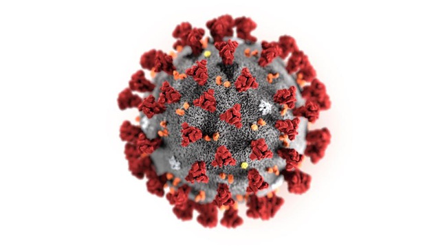 Hoa Kỳ báo cáo trường hợp lây truyền virus corona từ người sang người đầu tiên: WHO lên tiếng &quot;lo ngại nghiêm trọng&quot; về sự lây lan virus từ người sang người ở ngoài Trung Quốc - Ảnh 2.