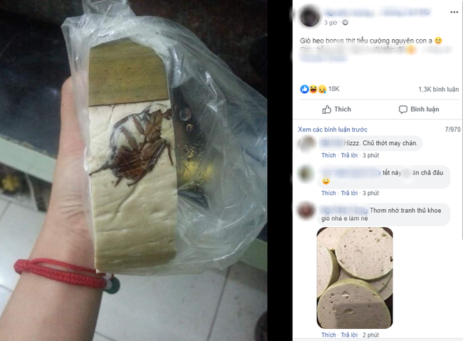Định lấy miếng giò ra ăn, chàng trai sốc nặng khi phát hiện con gián còng queo dính đét cạnh miếng giò từ bao giờ - Ảnh 1. Định lấy miếng giò ra ăn, chàng trai sốc nặng khi phát hiện con gián còng queo dính đét cạnh miếng giò từ bao giờ - Ảnh 1.