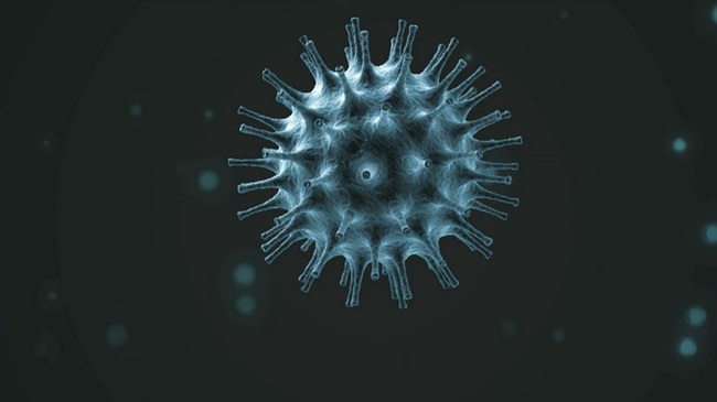 Coronavirus: Sự lan truyền đến chóng mặt trên toàn cầu khiến đâu đâu cũng hiện nỗi &quot;khiếp đảm&quot; - Ảnh 3.