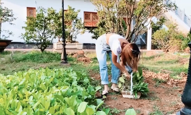 Bị khán giả chỉ trích nặng, Nam Thư phân trần lý do mặc hở hang vào nhà thờ Tổ của Hoài Linh - Ảnh 4.