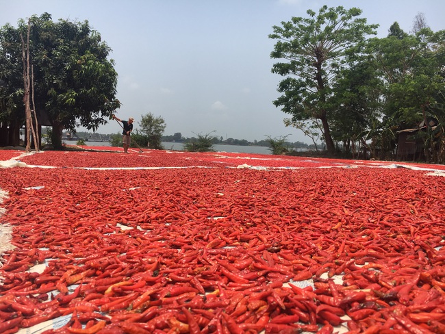 Đồng Tháp tìm đường đi cho nông sản trong mùa dịch - Ảnh 2.