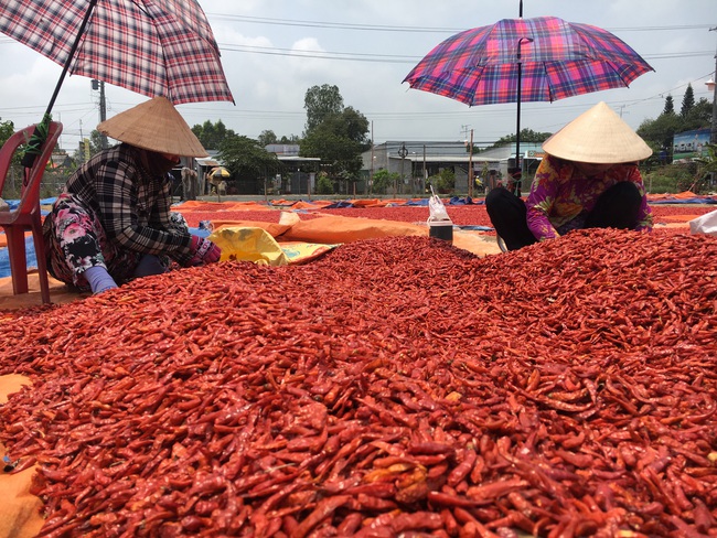 Đồng Tháp tìm đường đi cho nông sản trong mùa dịch - Ảnh 5.