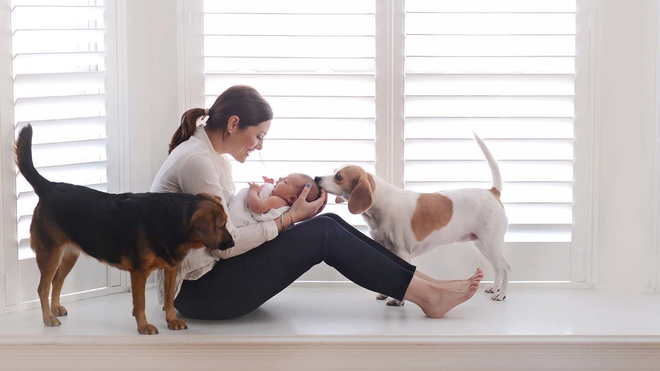 7 lợi ích từ việc nuôi thú cưng dành cho phụ nữ bận rộn - Ảnh 1.