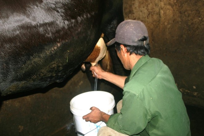 Giúp mẹ hiểu về sữa organic để nuôi con cao khỏe - Ảnh 1.