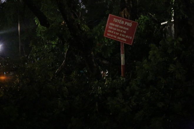 Hà Nội: Sau trận mưa lớn, cành cây cổ thụ bị gãy, rơi trúng 2 người khiến nhập viện - Ảnh 1.