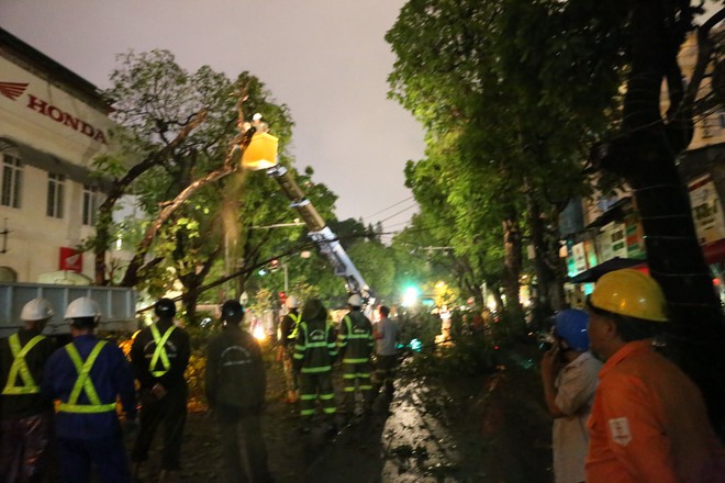 Hà Nội: Sau trận mưa lớn, cành cây cổ thụ bị gãy, rơi trúng 2 người khiến nhập viện - Ảnh 5.