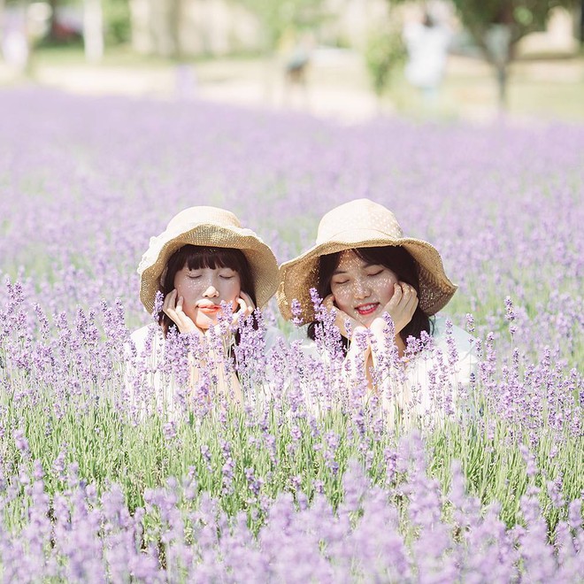 Top 3 con gi&aacute;p v&igrave; t&igrave;nh bạn sẵn s&agrave;ng từ bỏ t&igrave;nh y&ecirc;u - Ảnh 1.