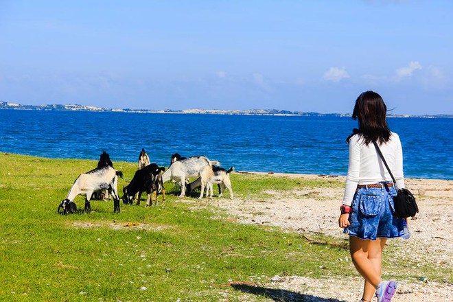 Dân mạng tranh cãi chuyện cô gái 28 chọn lối sống vô gia cư, bỏ nhà, bỏ việc đi khắp muôn nơi - Ảnh 8.