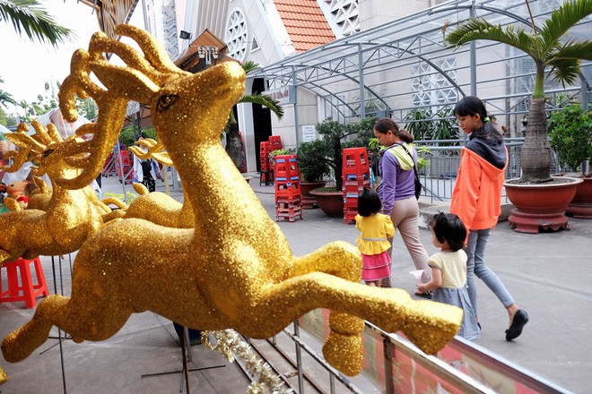 Cận ngày Giáng sinh, trái châu nhập khẩu từ Mỹ tiền triệu vẫn tấp nập người mua tại “chợ Noel” nổi tiếng Sài Gòn - Ảnh 10.