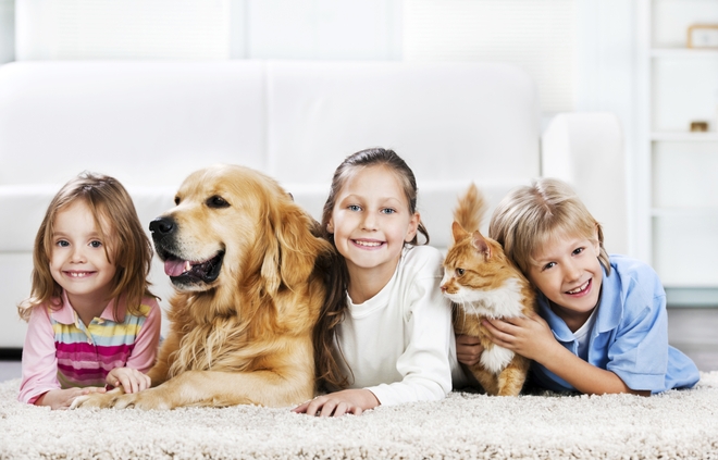 7 lợi ích từ việc nuôi thú cưng dành cho phụ nữ bận rộn - Ảnh 5.