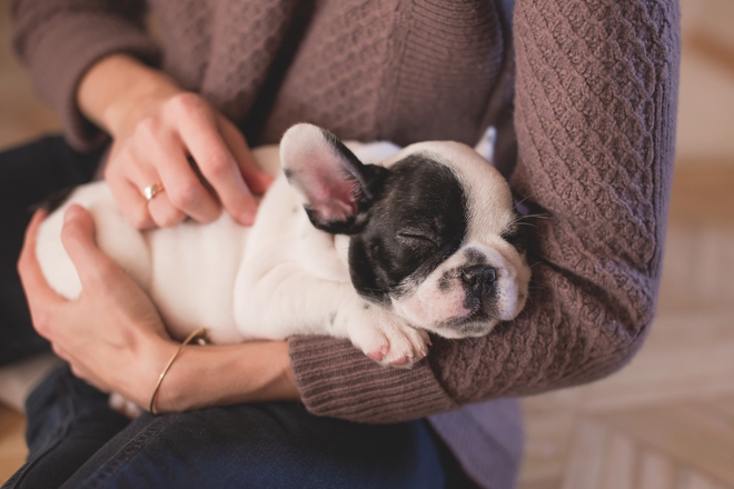 7 lợi ích từ việc nuôi thú cưng dành cho phụ nữ bận rộn - Ảnh 7.