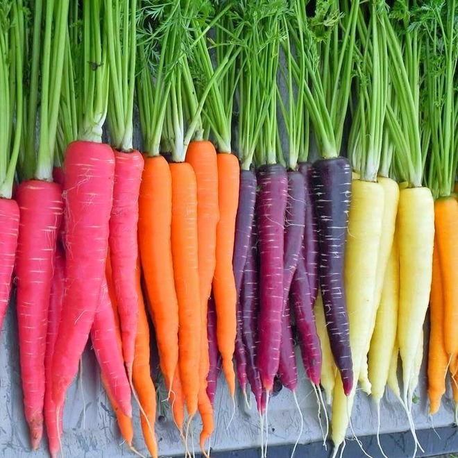 Những loại rau củ rực rỡ sắc màu khiến nhiều người không tin chúng có thật - Ảnh 11.