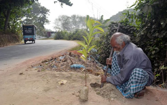 Mỗi ngày trồng 1 cây, 48 năm sau cụ ông làm được điều khiến ai cũng phải kinh ngạc - Ảnh 1.
