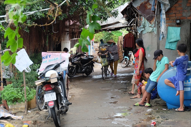 Có xóm nhà lá giữa Sài Gòn, nơi lũ trẻ hồn nhiên sống như cây cỏ, quen việc cạo vỏ gừng hơn là con chữ - Ảnh 3.