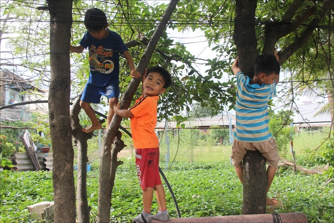 Có xóm nhà lá giữa Sài Gòn, nơi lũ trẻ hồn nhiên sống như cây cỏ, quen việc cạo vỏ gừng hơn là con chữ - Ảnh 16.