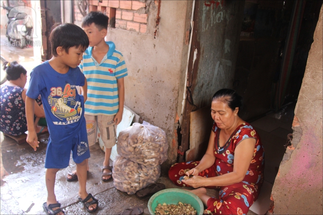 Có xóm nhà lá giữa Sài Gòn, nơi lũ trẻ hồn nhiên sống như cây cỏ, quen việc cạo vỏ gừng hơn là con chữ - Ảnh 11.