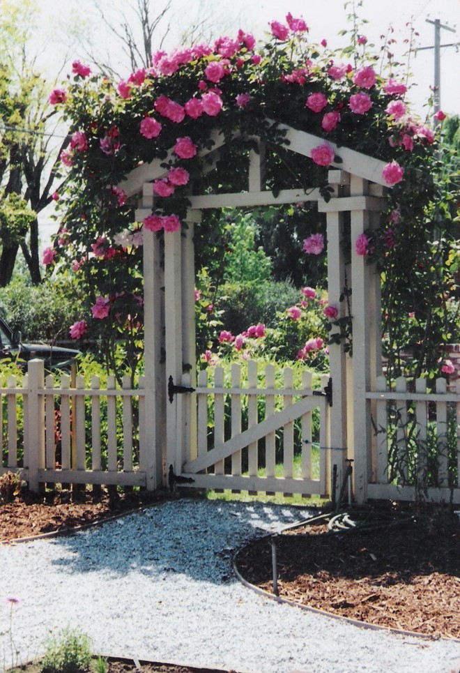 Chiêm ngưỡng vẻ đẹp lộng lẫy của những chiếc cổng nhà tràn ngập hoa - Ảnh 12.