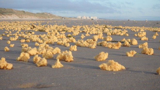Bí ẩn hàng triệu vật thể lạ màu vàng không rõ nguồn gốc dải đầy bãi biển - Ảnh 1.