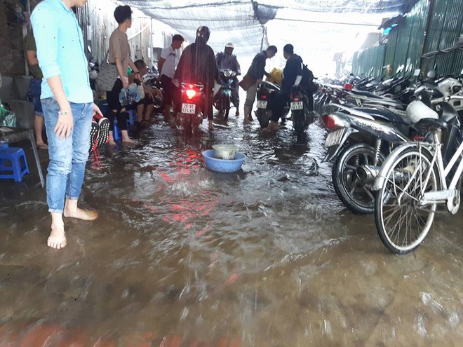 Hà Nội: Nơi mưa ngập trắng băng, dân thi nhau bắt cá, nơi chỉ đủ ướt đường - Ảnh 9.