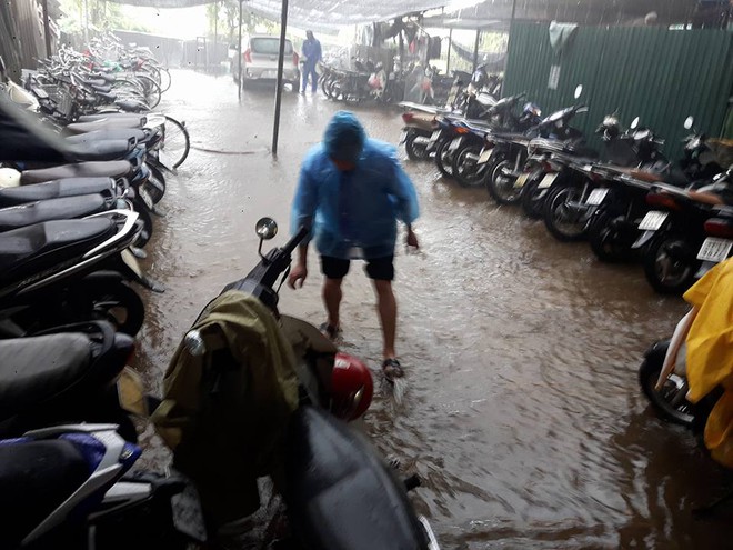 Hà Nội: Nơi mưa ngập trắng băng, dân thi nhau bắt cá, nơi chỉ đủ ướt đường - Ảnh 10.