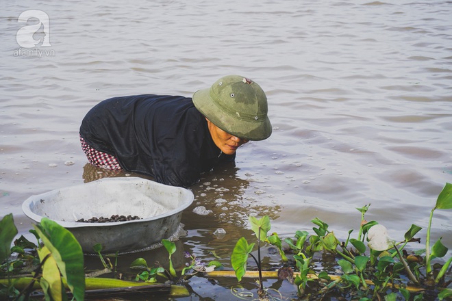 Cuộc sống của người mẹ hậu duệ Âu cơ một mình nuôi đủ 14 con, 7 lần đẻ rơi ngoài ruộng - Ảnh 6.