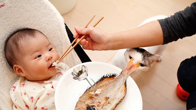 Cho trẻ ăn cá ít nhất 1 tuần 1 lần, kết quả hơn cả mong đợi - Ảnh 1.