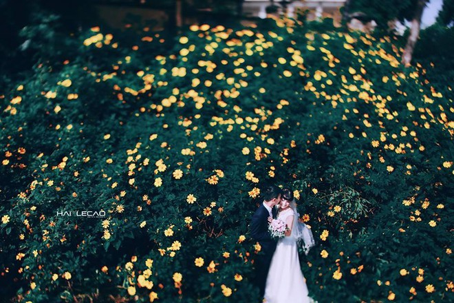 Mùa cưới đến rồi, bỏ túi ngay những địa chỉ chụp ảnh đẹp mê ly với lá vàng, lá đỏ này thôi - Ảnh 20.