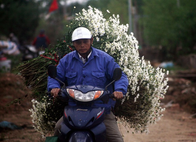 Hà Nội: Bất chấp trời lạnh, nhiều người vẫn ùn ùn kéo đến thả dáng với cúc họa mi - Ảnh 14.