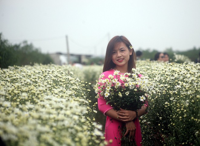 Hà Nội: Bất chấp trời lạnh, nhiều người vẫn ùn ùn kéo đến thả dáng với cúc họa mi - Ảnh 6. Hà Nội: Bất chấp trời lạnh, nhiều người vẫn ùn ùn kéo đến thả dáng với cúc họa mi - Ảnh 6.
