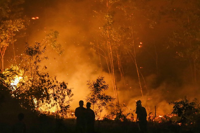Hơn 2000 người dập lửa cháy rừng trong đêm nóng kỷ lục tại Hà Nội - Ảnh 3.