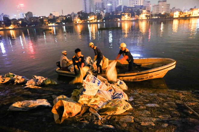 Cá lại chết trắng hồ Hoàng Cầu sau đúng 1 năm, công nhân thức trắng đêm vớt cá - Ảnh 6.