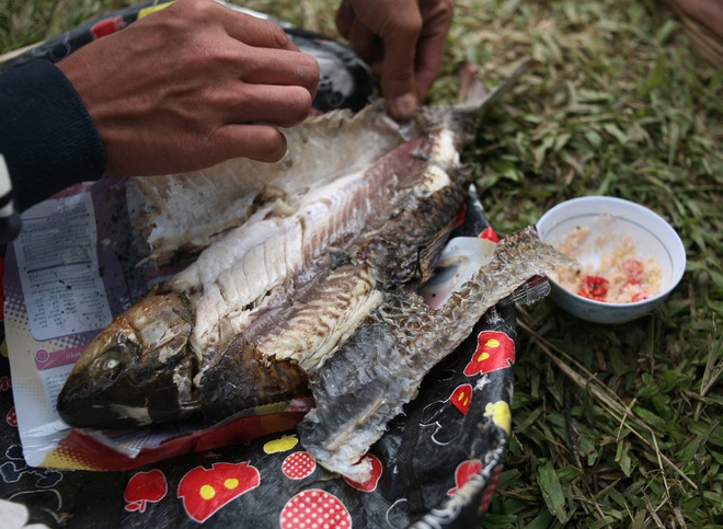 Mặc nước ngập trắng, người dân Chương Mỹ vẫn vui vẻ buông cần kiếm bộn cá, nướng nhậu ngay tại trận - Ảnh 15. Mặc nước ngập trắng, người dân Chương Mỹ vẫn vui vẻ buông cần kiếm bộn cá, nướng nhậu ngay tại trận - Ảnh 15.