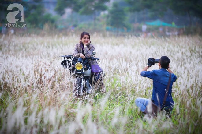 Cánh đồng bông lau đẹp như trong phim - thiên đường sống ảo mới của giới trẻ Hà Nội - Ảnh 17.