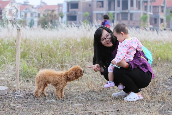 Cánh đồng bông lau đẹp như trong phim - thiên đường sống ảo mới của giới trẻ Hà Nội - Ảnh 3.