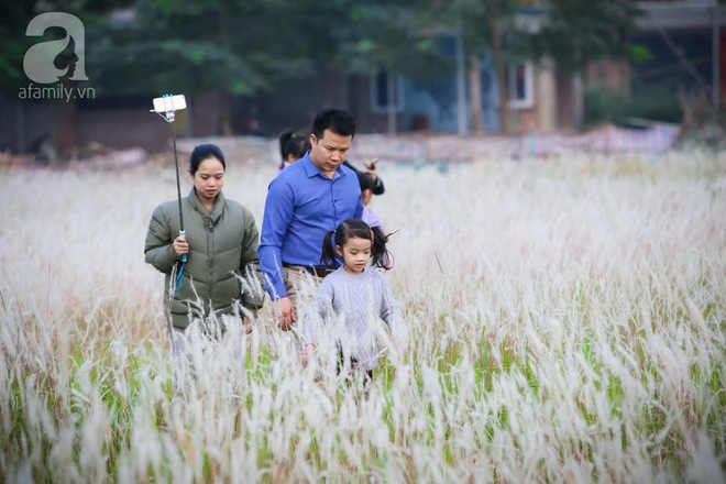 Cánh đồng bông lau đẹp như trong phim - thiên đường sống ảo mới của giới trẻ Hà Nội - Ảnh 2.