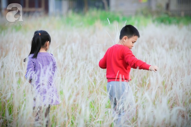 Cánh đồng bông lau đẹp như trong phim - thiên đường sống ảo mới của giới trẻ Hà Nội - Ảnh 16.