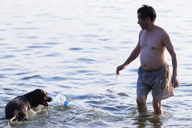 Nắng nóng đỉnh điểm, chủ mặc kín như ninja lội nước, chó cưng vùng vẫy ở Hồ Tây - Ảnh 9.